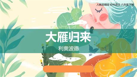 《大雁归来》PPT免费课件下载