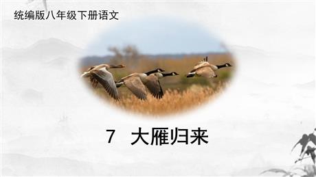 《大雁归来》PPT精品课件下载
