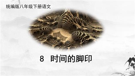 《时间的脚印》PPT优质课件下载