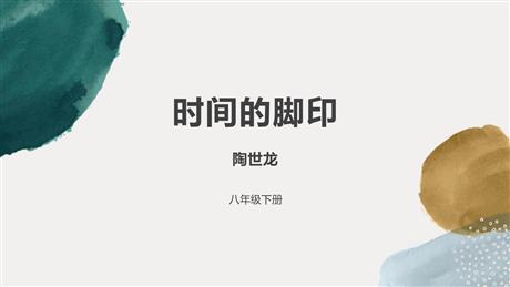 《时间的脚印》PPT优秀课件下载
