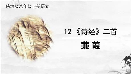 《蒹葭》PPT优质课件下载