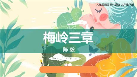 《梅岭三章》PPT免费教学课件