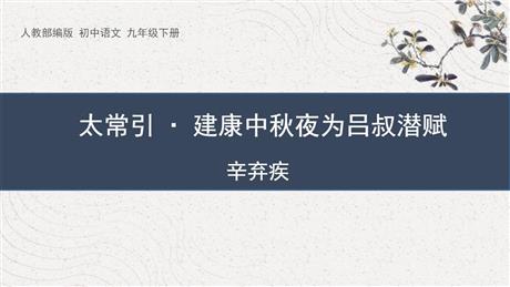 《太常引·建康中秋夜为吕叔潜赋》PPT免费课件