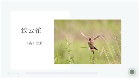 《致云雀》PPT精品课件