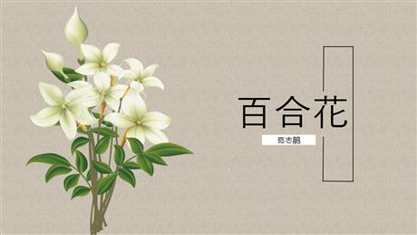 《百合花》PPT优质课件