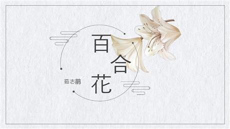 《百合花》PPT免费课件