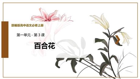 《百合花》PPT免费课件下载