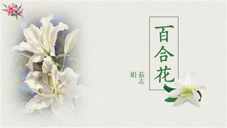 《百合花》PPT精品课件下载