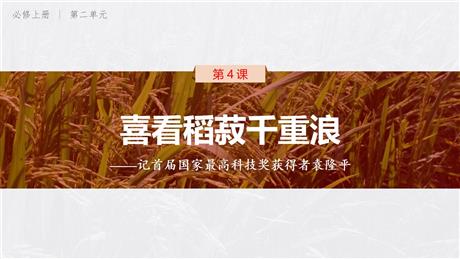 《喜看稻菽千重浪》PPT教学课件