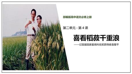 《喜看稻菽千重浪》PPT免费课件