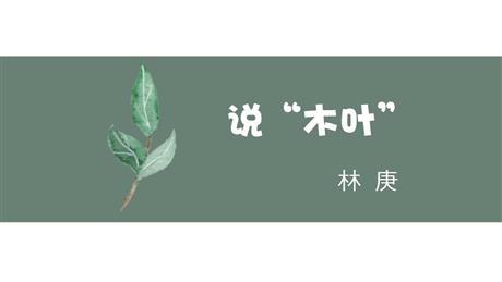 《说“木叶”》PPT免费课件下载
