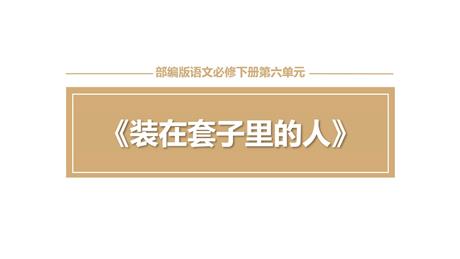 《装在套子里的人》PPT优质课件