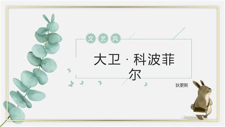《大卫·科波菲尔》PPT课件