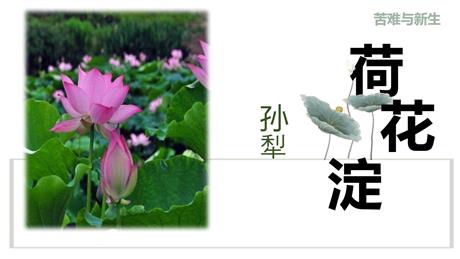 《荷花淀》PPT教学课件