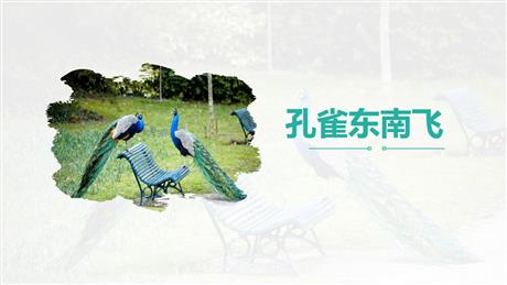 《孔雀东南飞》PPT课件下载