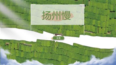 《扬州慢》PPT教学课件