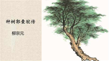 《种树郭橐驼传》PPT课件