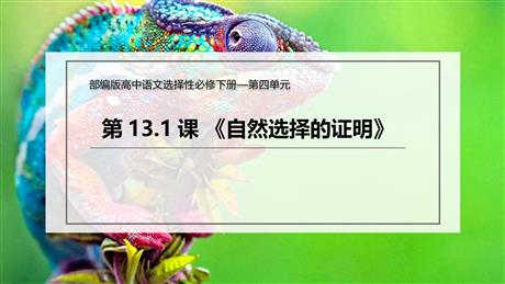 《自然选择的证明》PPT课件