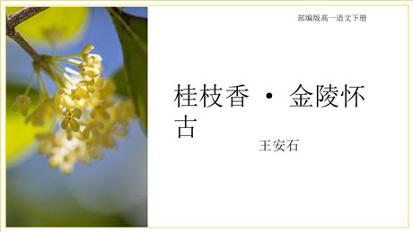 《桂枝香•金陵怀古》PPT下载
