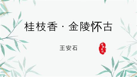 《桂枝香•金陵怀古》PPT教学课件