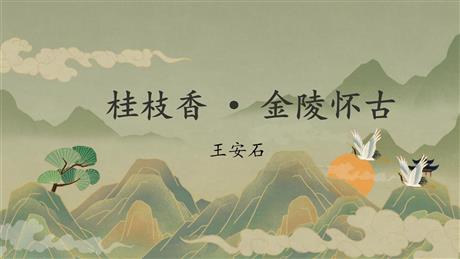 《桂枝香•金陵怀古》PPT课件下载