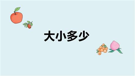 《大小多少》PPT精品教学课件