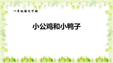 《小公鸡和小鸭子》PPT优质课件下载