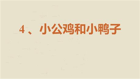 《小公鸡和小鸭子》PPT优秀课件下载