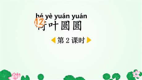 《荷叶圆圆》PPT免费课件(第2课时)