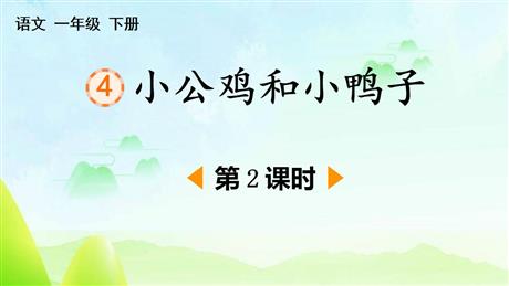 《小公鸡和小鸭子》PPT下载(第2课时)