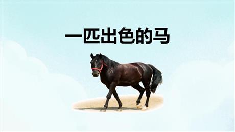 《一匹出色的马》PPT免费教学课件