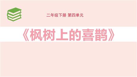 《枫树上的喜鹊》PPT教学课件下载