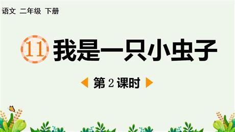 《我是一只小虫子》PPT课件下载(第2课时)