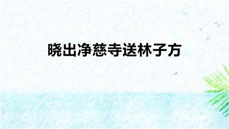《晓出净慈寺送林子方》古诗二首PPT优质课件