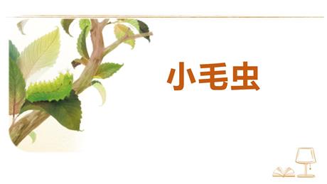 《小毛虫》PPT优秀课件下载