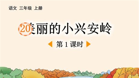 《美丽的小兴安岭》PPT课件下载(第1课时)