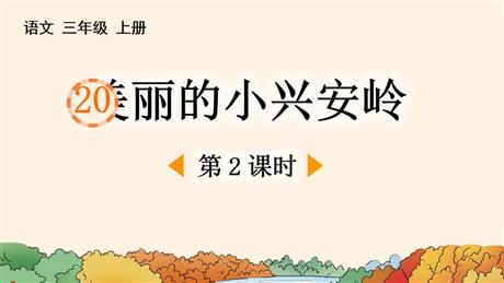 《美丽的小兴安岭》PPT课件下载(第2课时)
