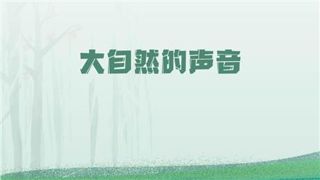《大自然的声音》PPT优秀教学课件