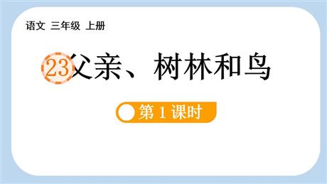 《父亲、树林和鸟》PPT课件下载(第1课时)