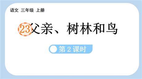 《父亲、树林和鸟》PPT课件下载(第2课时)