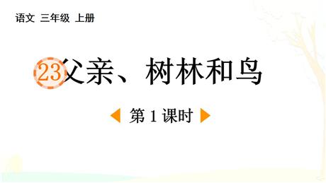 《父亲、树林和鸟》PPT免费课件(第1课时)