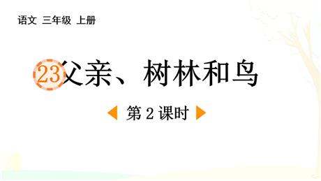 《父亲、树林和鸟》PPT免费课件(第2课时)