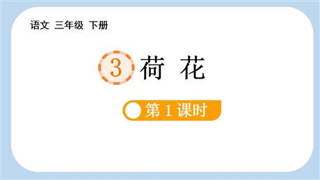 《荷花》PPT教学课件(第1课时)