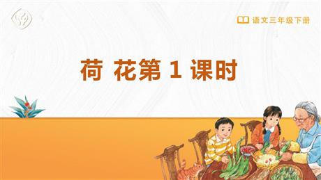 《荷花》PPT免费课件(第1课时)