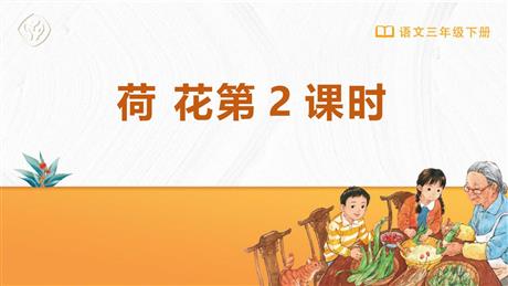 《荷花》PPT免费课件(第2课时)