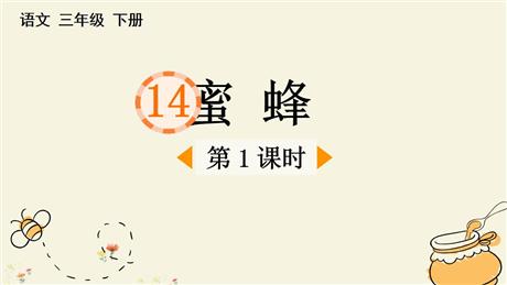 《蜜蜂》PPT下载(第1课时)