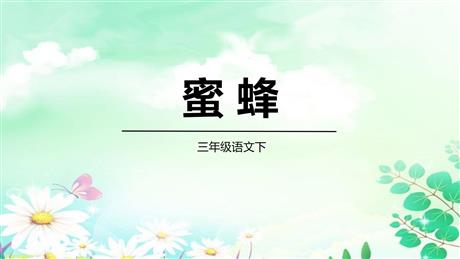 《蜜蜂》PPT免费教学课件