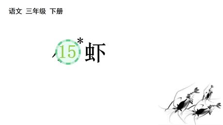 《小虾》PPT免费教学课件