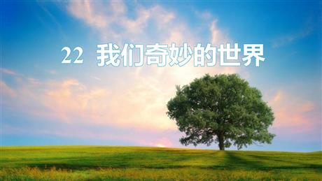 《我们奇妙的世界》PPT免费教学课件