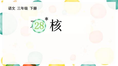 《枣核》PPT免费教学课件